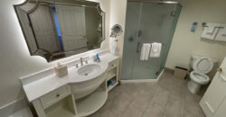 Disney’s Saratoga Springs Resort & Spa