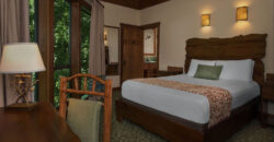 Disney’s Saratoga Springs Resort & Spa